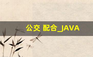 公交 配合_JAVAHDTV公交车